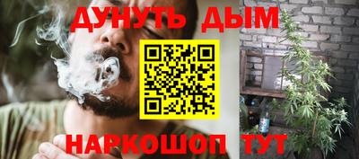 спайс Кингисепп