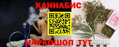 спайс Кингисепп